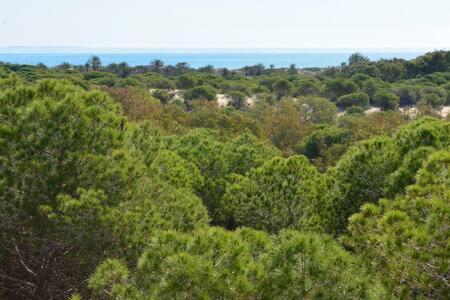 Casa Felipa, Una Estancia Unica En La Costa Blanca Guardamar del Segura Dış mekan fotoğraf